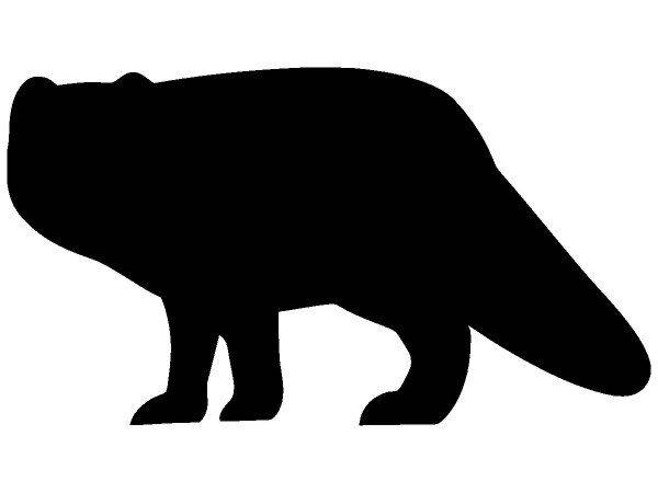 Животные 1285 Животные 1285