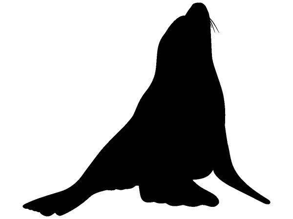 Животные 145 Животные 145