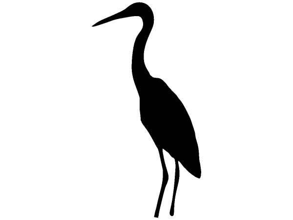 Животные 1281