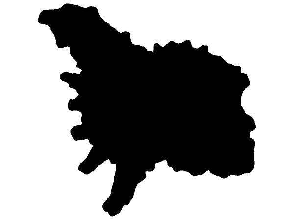 Животные 3076