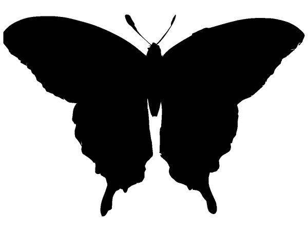 Животные 1447