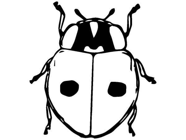 Животные 853