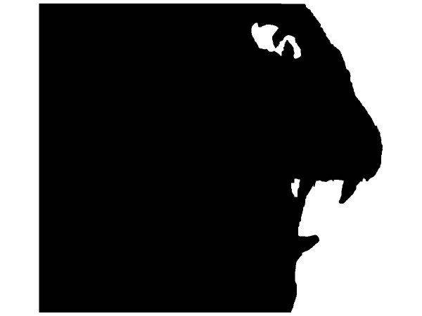 Животные 3472 Животные 3472