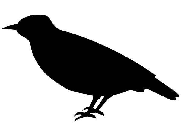 Животные 241