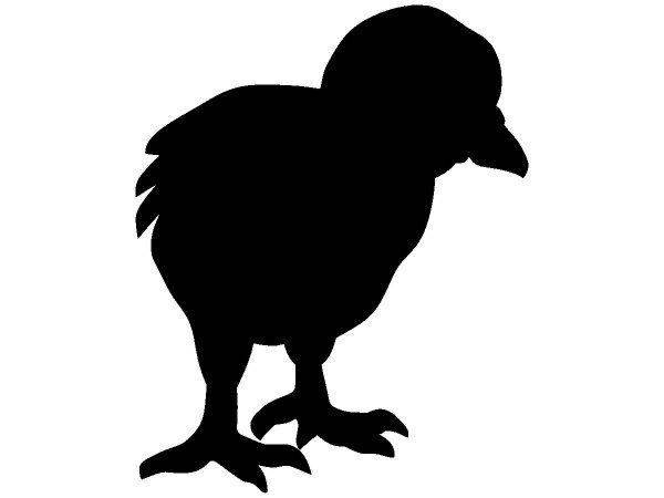 Животные 3605 Животные 3605