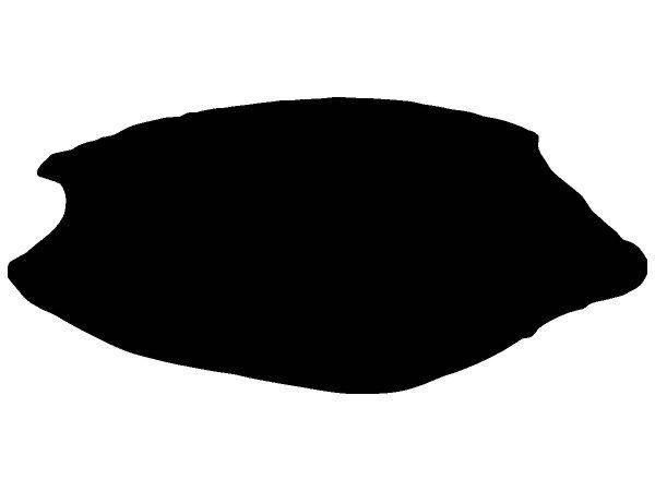 Животные 3074