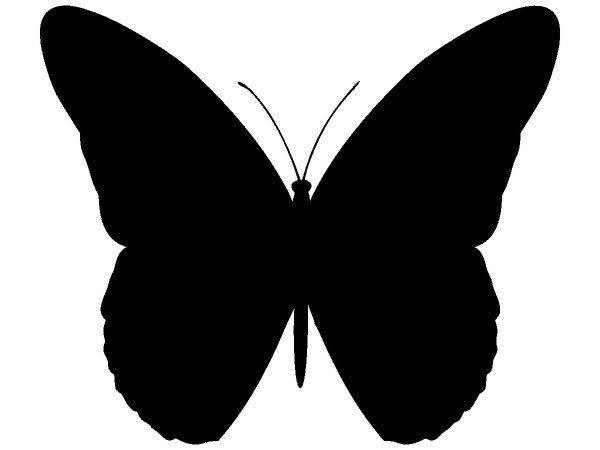 Животные 3086 Животные 3086