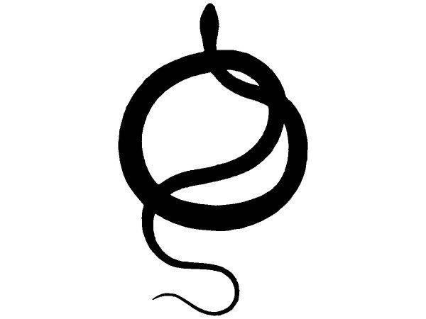 Животные 2793