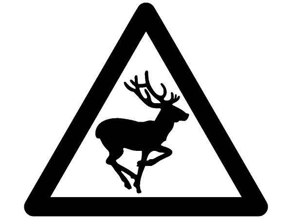 Животные 1471