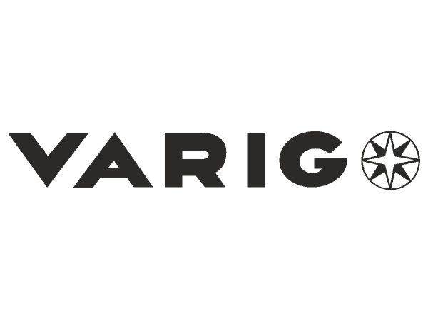 VARIG AIRLINES logo