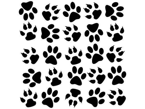 Животные 3095 Животные 3095