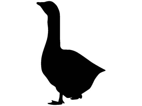 Животные 454