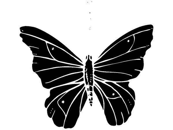 Животные 3135 Животные 3135