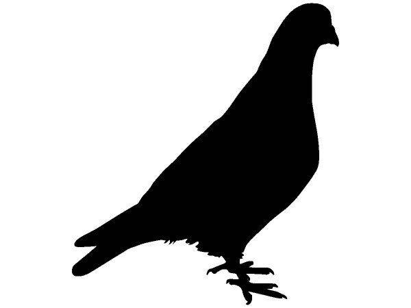 Животные 64 Животные 64