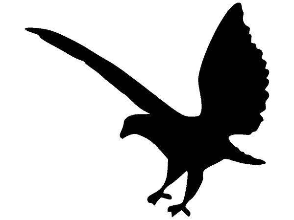 Животные 1575 Животные 1575