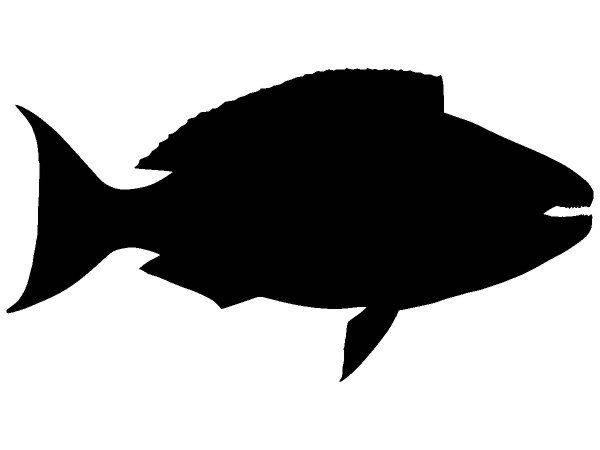 Животные 2904