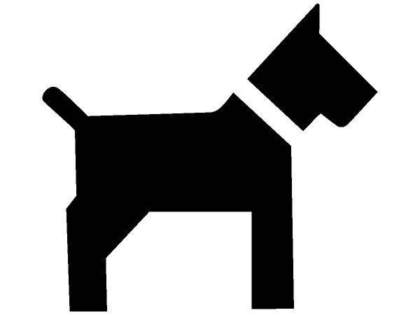 Животные 4252 Животные 4252