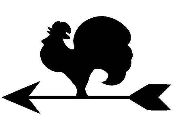 Животные 3549 Животные 3549