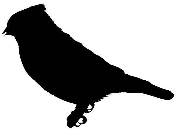 Животные 1336