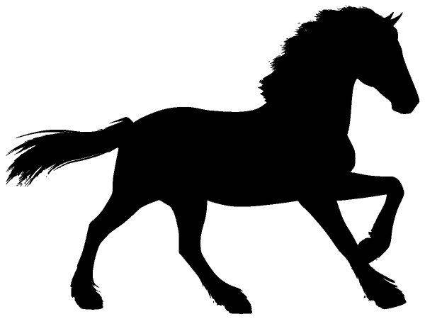 Животные 3514 Животные 3514