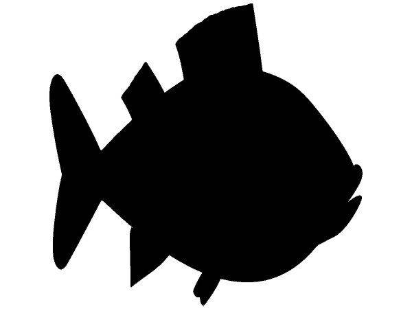 Животные 1626