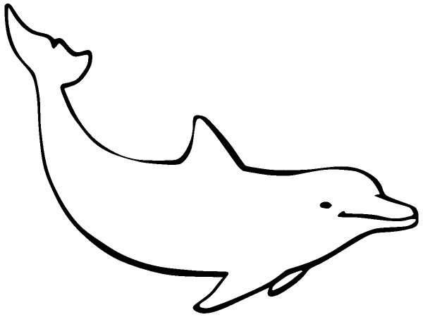 Животные 1147