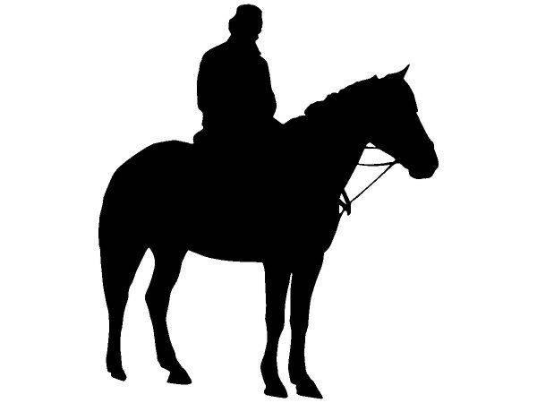 Животные 3561 Животные 3561