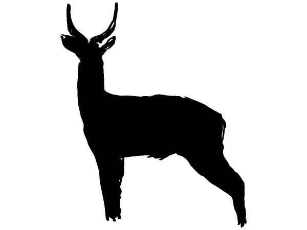 Животные 215