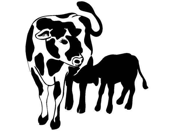 Животные 308 Животные 308