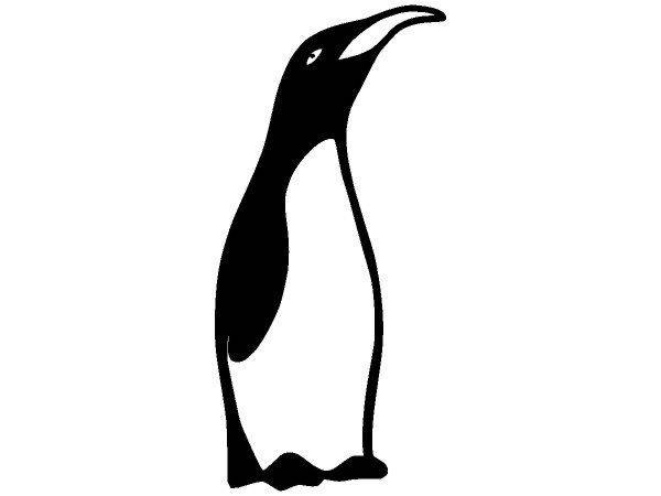 Животные 1213 Животные 1213