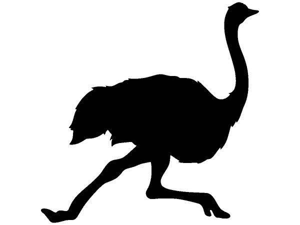 Животные 2986 Животные 2986