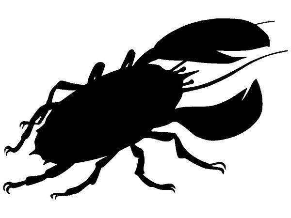 Животные 3444 Животные 3444