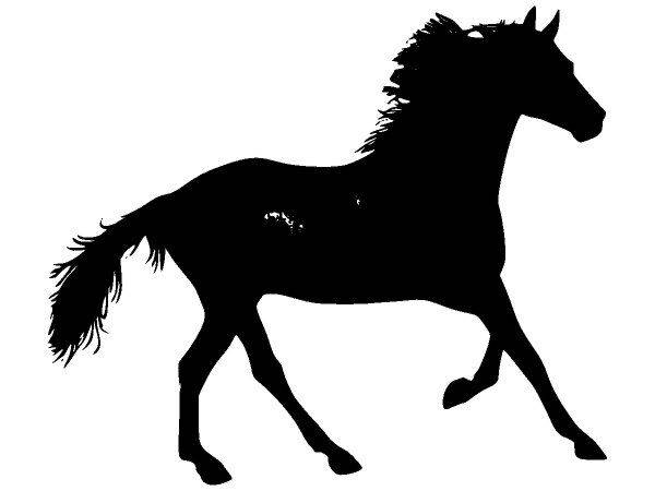 Животные 2660