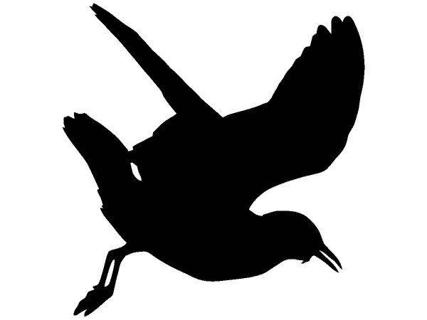 Животные 3379 Животные 3379