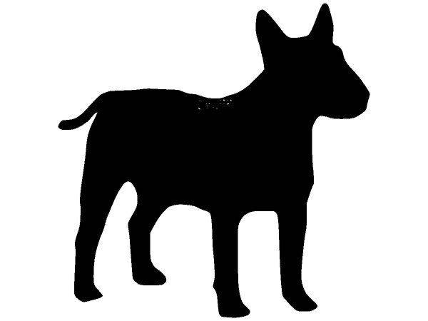 Животные 730 Животные 730