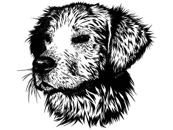 Животные 3352 Животные 3352