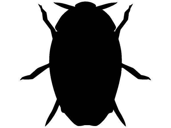 Животные 3057 Животные 3057