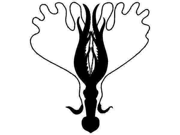 Животные 1413