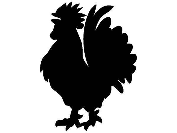 Животные 1221