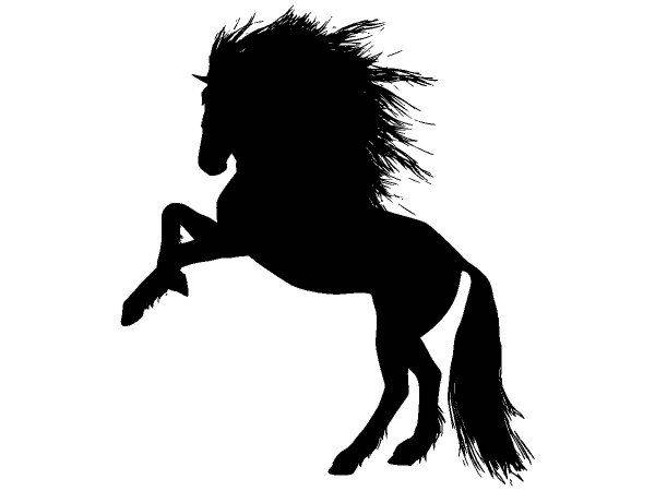 Животные 4019