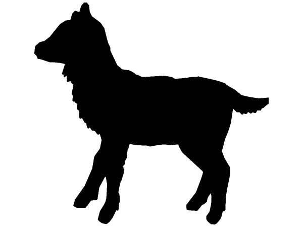 Животные 168