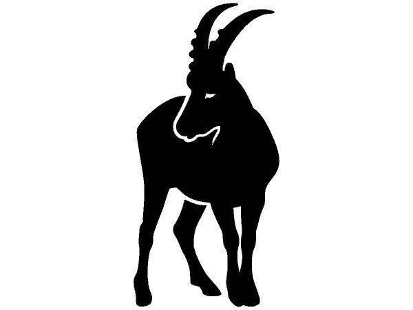 Животные 1437