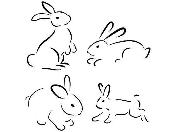 Животные 3541 Животные 3541