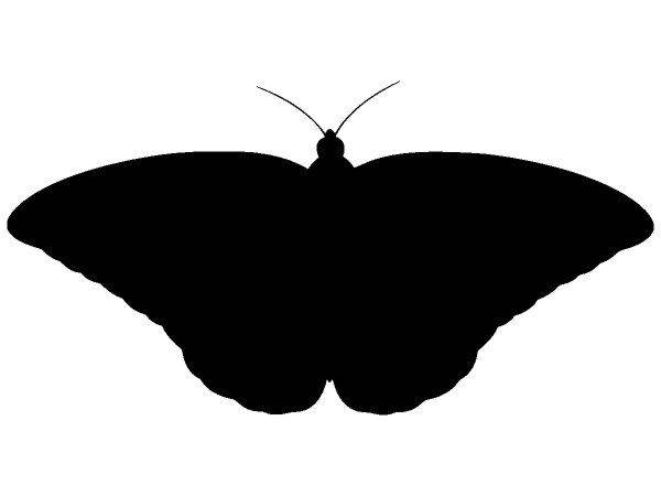 Животные 3378 Животные 3378