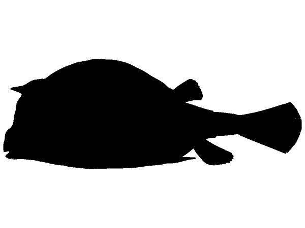 Животные 2750