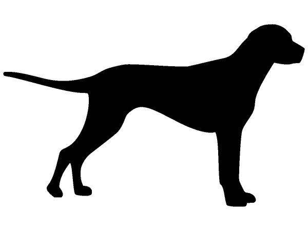 Животные 2258 Животные 2258