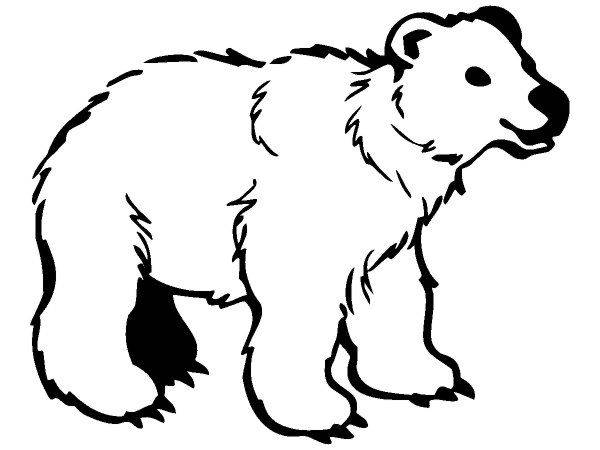 Животные 1635