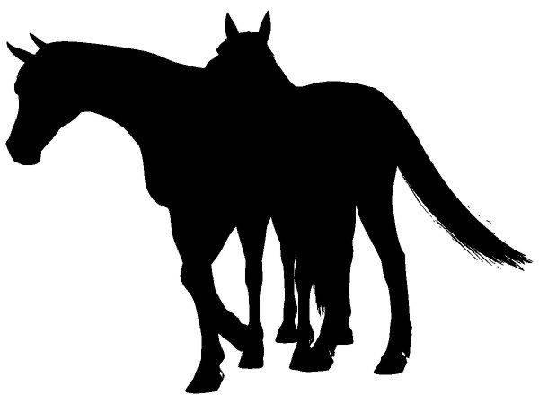 Животные 4011