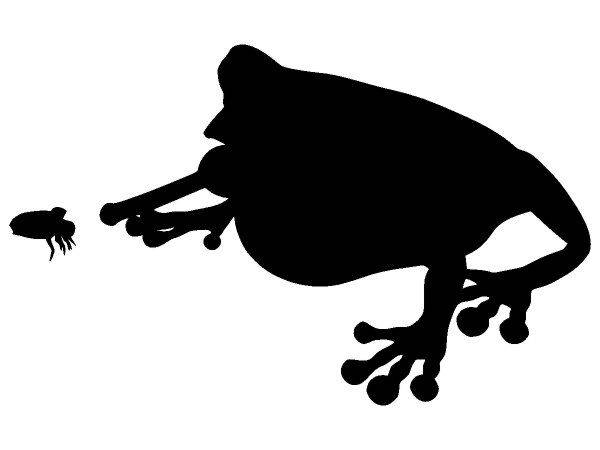 Животные 4094