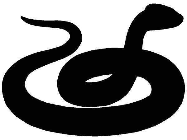 Животные 2386